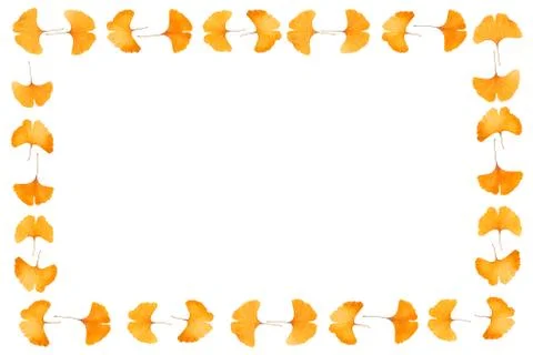 Gingko leaf frame Stock Photos