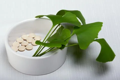 Gingko - learning controller  Stock Photos