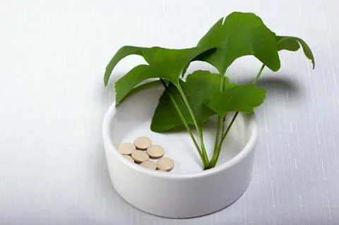 Gingko - learning controller  Stock Photos