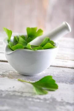 Gingko leaves in a mortar Stock Photos