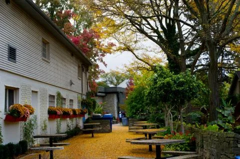 Gingko leaves Stock Photos