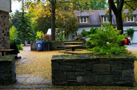 Gingko leaves Stock Photos