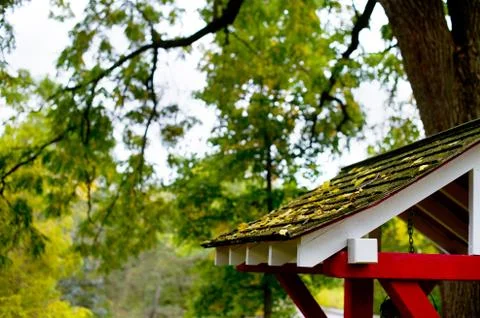 Gingko leaves Stock Photos