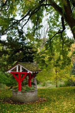 Gingko leaves Stock Photos