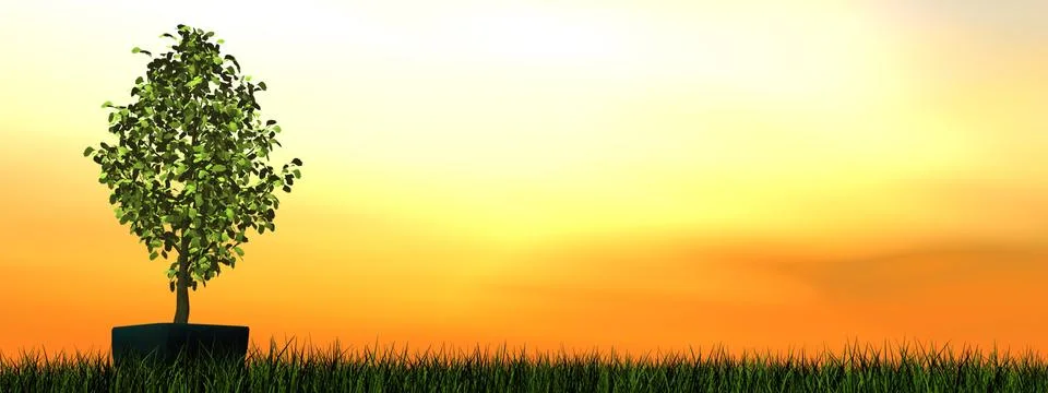 Gingko tree bonsai - 3D render Stock Illustration