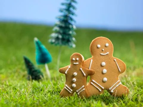 Gingner bread man 스톡 사진