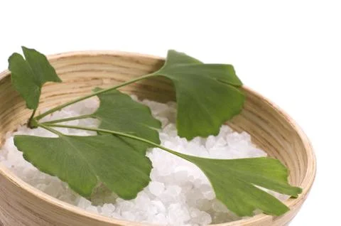 Ginkgo biloba bath Stock Photos