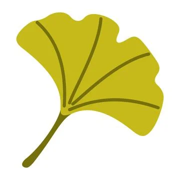 Ginkgo Biloba Leaf Isolated Vector Element Flat Style Icon Stock Illustration