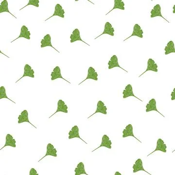 Ginkgo biloba seamless pattern. Beautiful plant background. Stock Illustration