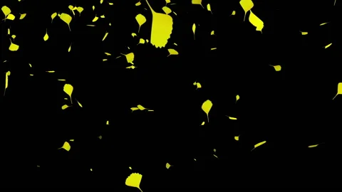 Ginkgo loop animation Video stock 139598833