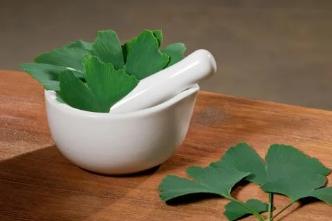 Ginkgo Stock Photos