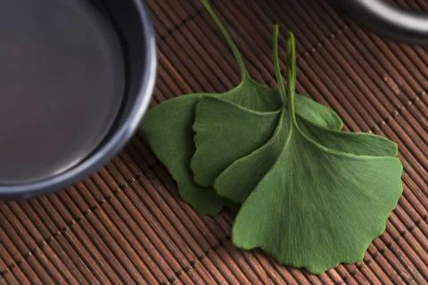 Ginkgo tea Stock Photos