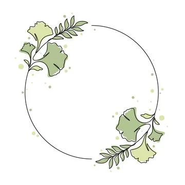 Ginkgo tree and leaf circle floral ornament vector illustration Stockillustratie