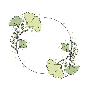 Ginkgo tree and leaf circle floral ornament vector illustration Stock Illustration