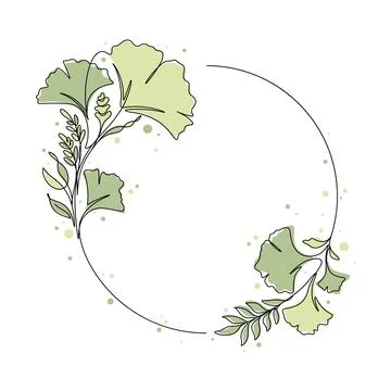 Ginkgo tree and leaf circle floral ornament vector illustration Stock Illustration