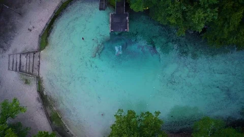 Ginnie Springs Dive Stock Footage 95917498