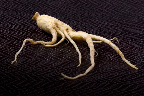 Ginseng background Stock Photos