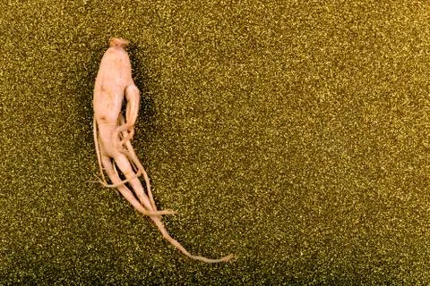 Ginseng  background Stock Photos