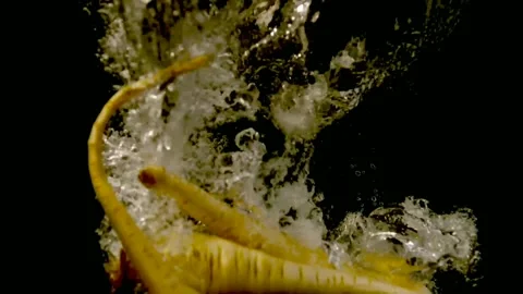Ginseng falling in water slow motion Stock Footage 159922841