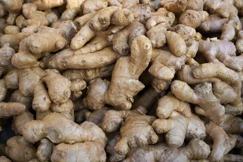 Ginseng ginger roots background pattern Stock Photos