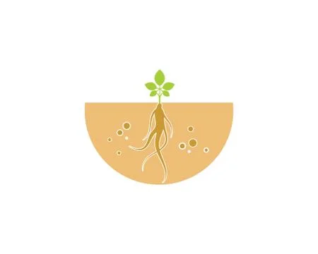 Ginseng illustration icon vector design Stock Illustration