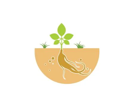 Ginseng illustration icon vector design Stock Illustration