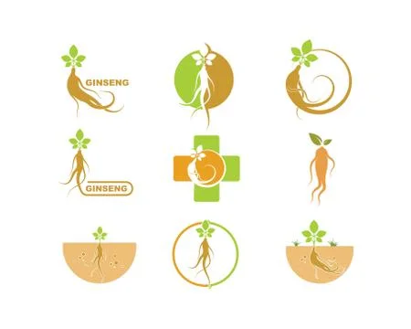 Ginseng illustration icon vector design Stock Illustration