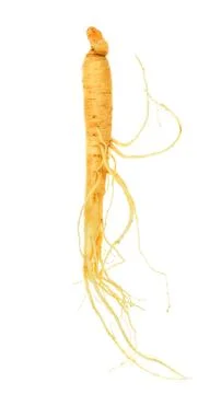 Ginseng isolated on the white background Stock Photos
