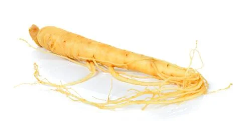 Ginseng isolated on the white background Stock Photos