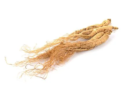 Ginseng isolated on white background Stock Photos