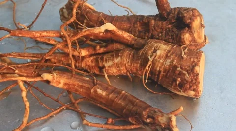 Ginseng of korea Stock Footage 45849930