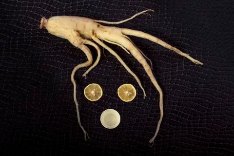 Ginseng muzzle Stock Photos