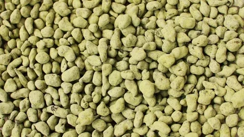 Ginseng Oolong Tea bunch, LAN GUI REN Classic green Chinese tea. Stock Footage 253634766