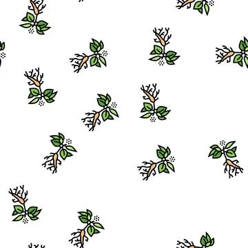 Ginseng plant vector seamless pattern Stock Illustration