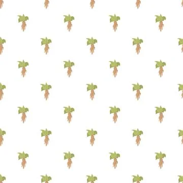 Ginseng root health pattern seamless botanical background Stock Illustration