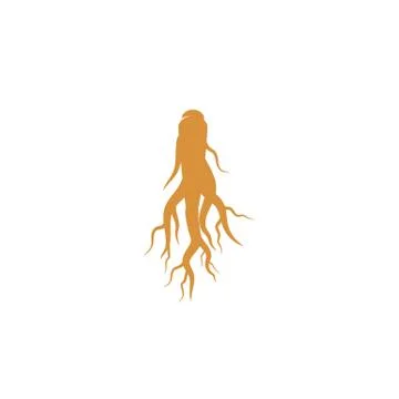 Ginseng vector icon illustration Stock Illustration