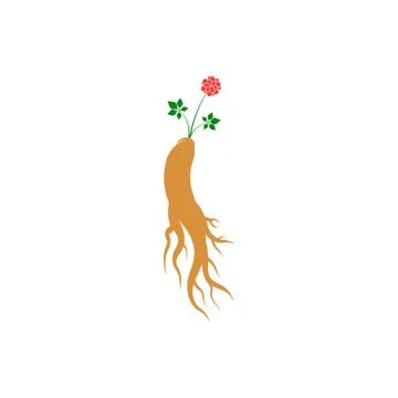 Ginseng vector icon illustration Stock Illustration