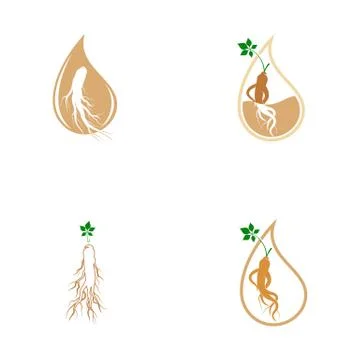 Ginseng vector icon illustration Stock Illustration