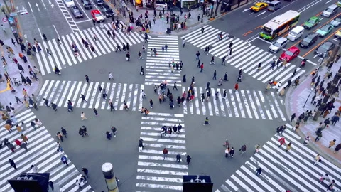 Ginza district, Tokyo. Crosswalk. Intersection in Tokyo,Japan  Stock Footage 215484987