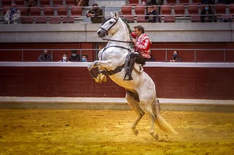 Gira de la Reconstruccion bullfighting event, Logrono, Spain - 15 Oct 2020 Stock Photos