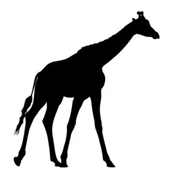 Girafe Stock Illustration