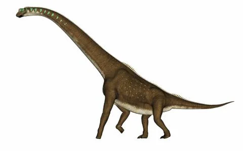 Giraffatitan dinosaur - 3D render Stock Illustration