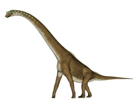 Giraffatitan dinosaur - 3D render Stock Illustration