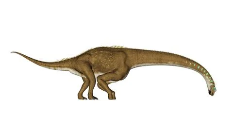Giraffatitan dinosaur drinking - 3D render Stock Illustration