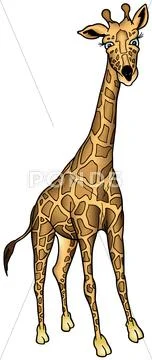 Giraffe from Africa Stock Illustration