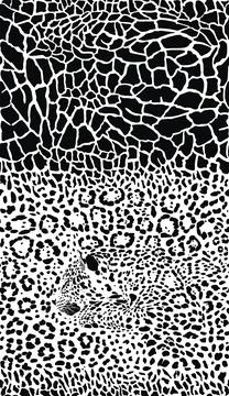 Giraffe and leopard seamless background Stock Illustration
