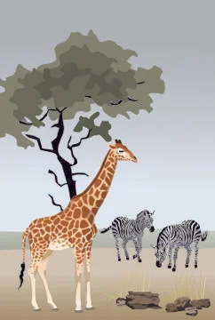 Giraffe and zebras Illustrazione stock