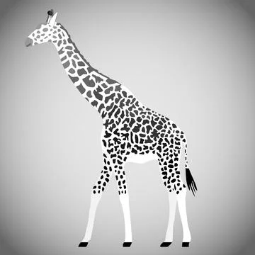 Giraffe in black and white. Giraffe isolated on a light background. Vector Illustrazione stock