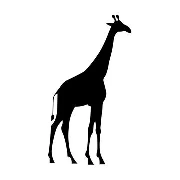 Giraffe black vector icon on white background 스톡 일러스트