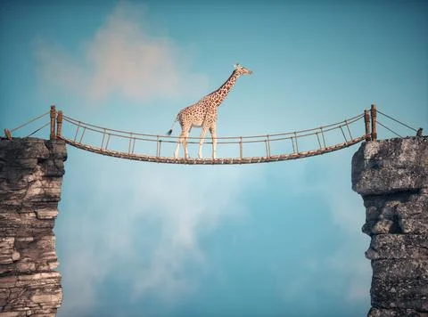 The giraffe crossing a bridge suspended between two rocks high in the sky. Stock Illustration